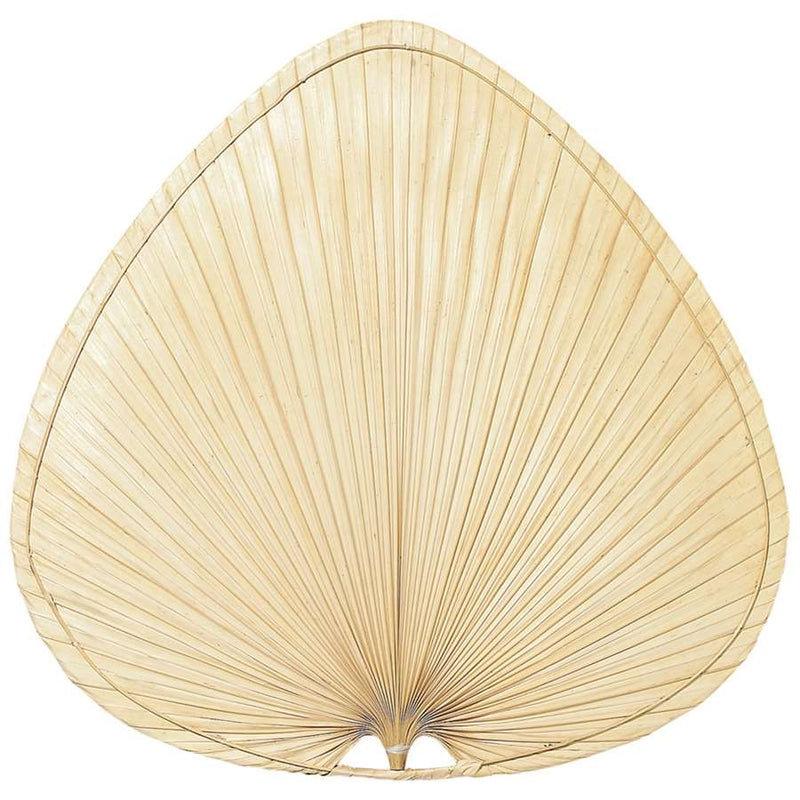 Fanimation Palmetto 18in Wide Oval Palm Fan Blades | Natural Palm | Dry Locations | Set of 3 | Model PMP2AB
