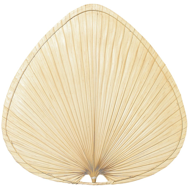 Fanimation Punkah 22in 1-Blade Wide Oval Palm Fan Blade | Natural Palm | Indoor Ceiling Fans | 22 x 22 x 22 in | Model PUP1