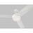 Visual Comfort Fan Cirque Indoor Ceiling Fan, Matte White