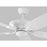 Monte Carlo Fan Company Colony Max Ceiling Fan
