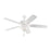 Monte Carlo Fan Company Colony Max Plus Ceiling Fan