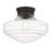 Golden Lighting Ingalls 1 Light Semi-Flush, Matte Black/Clear