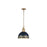 Golden Alison 1-Light Pendant, Vintage Gold/Antique Matte Navy - 0809-MVG-ANVY