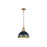 Golden Alison 1-Light Pendant, Vintage Gold/Antique Matte Navy