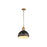 Golden Alison 1-Light Pendant, Vintage Gold/Weathered Black Iron
