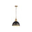 Golden Alison 1-Light Pendant, Vintage Gold/Weathered Black Iron