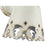 Golden Eloise 1-Light Vanity Light, Antique Ivory/Antique Ivory