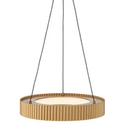 Golden Lighting Sashay 20in 1-Light Pendant | Modern Honey Gold and Acrylic Drum | Kitchen Island & Dining Room | Model 1146-20 HY