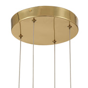 Golden Lighting Vario 47in 16-Light LED Chandelier | Modern Titanium Gold and Clear Acrylic Rose | Dining Room & Foyer | Model 1573-16 TG-B
