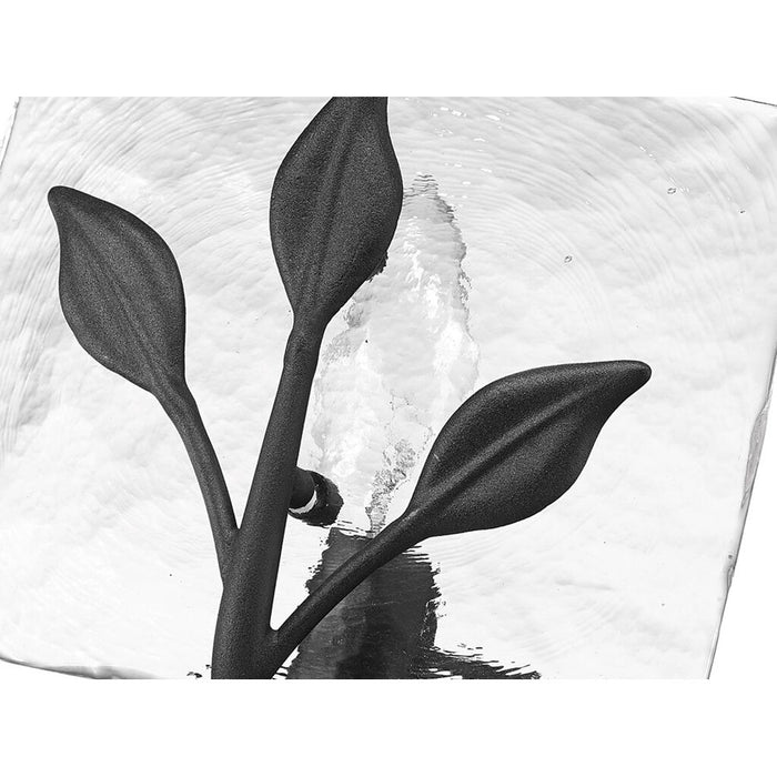 Golden Calla 3-Light Vanity, Natural Black/Hammered Water Glass