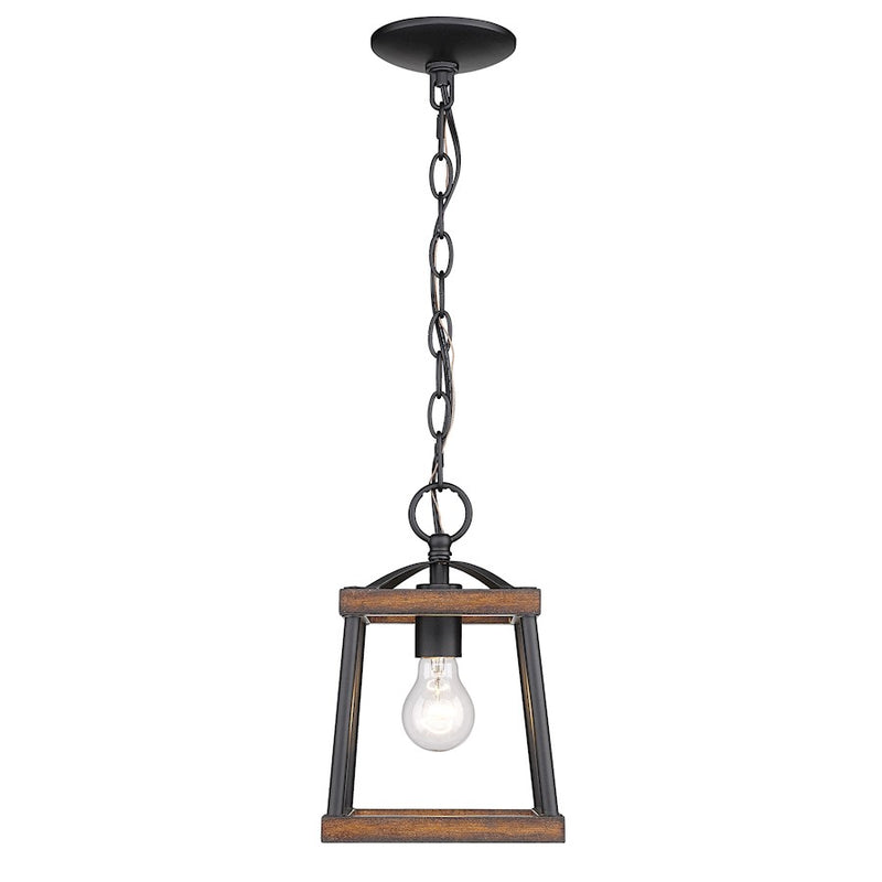 Golden Lighting Teagan 1 Light Mini Pendant, Black