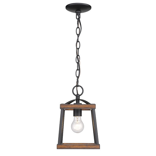 Golden Lighting Teagan 1 Light Mini Pendant, Black