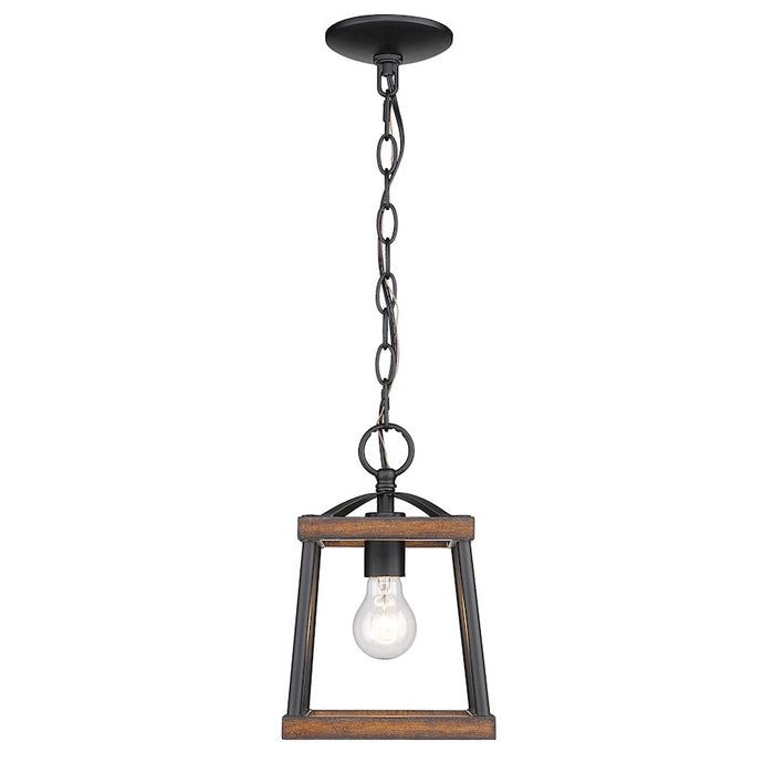 Golden Lighting Teagan 1 Light Mini Pendant, Black