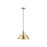 Golden Orwell 14" Wide Large Pendant, Aged Brass/Champagne Bronze - 3306-LAB-BCB