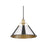Golden Orwell 14" Wide Large Pendant, Champagne Bronze/Chrome