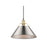 Golden Orwell 14" Wide Large Pendant, Champagne Bronze/Pewter