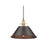 Golden Orwell 14" Wide Large Pendant, Champ Bronze/Rubbed Bronze