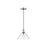 Golden Orwell 10" Wide Medium Pendant, Aged Brass/Clear Glass - 3306-MAB-CLR