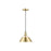 Golden Orwell 10" Wide Medium Pendant, Brushed Champagne Bronze - 3306-MBCB-BCB