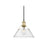 Golden Orwell 10" Wide Medium Pendant, Champ Bronze/Clear Glass