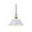 Golden Orwell 10" Wide Medium Pendant, Champ Bronze/Dusky Blue