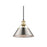Golden Orwell 10" Wide Medium Pendant, Champagne Bronze/Pewter