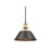 Golden Orwell 10" Wide Medium Pendant, Bronze/Rubbed Bronze