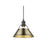 Golden Orwell 10" Wide Medium Pendant, Matte Black/Aged Brass