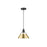 Golden Orwell 10" Wide Medium Pendant, Matte Black/Champ Bronze - 3306-MBLK-BCB
