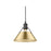 Golden Orwell 10" Wide Medium Pendant, Matte Black/Champ Bronze