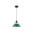 Golden Orwell 10" Wide Medium Pendant, Matte Black/Pine Green - 3306-MBLK-GN