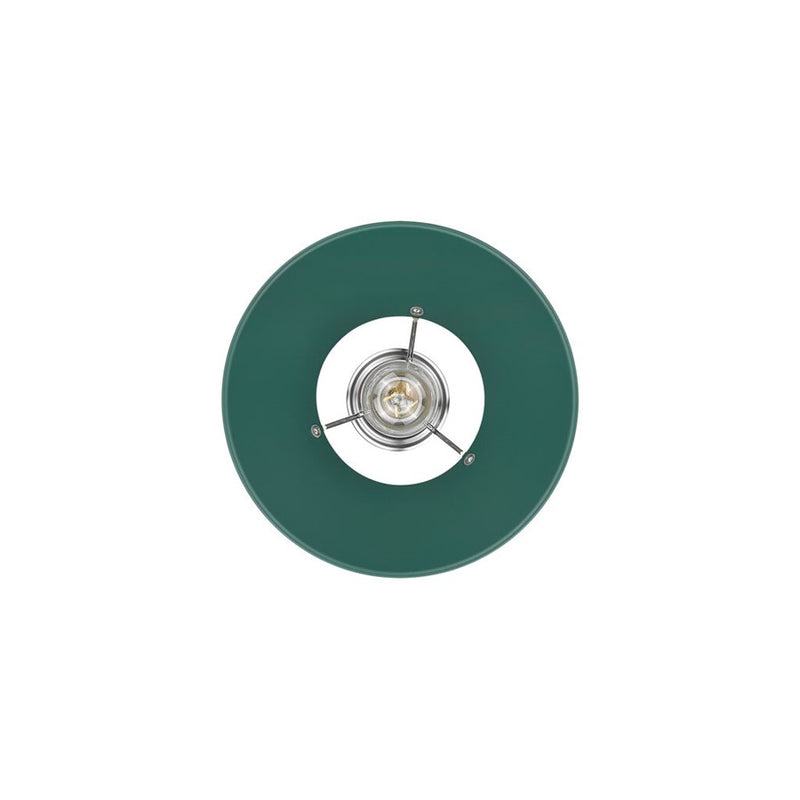 Golden Lighting Orwell 10" Wide Medium Pendant, Chrome/Pine Green