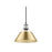 Golden Orwell 10" Wide Medium Pendant, Pewter/Champagne Bronze