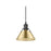 Golden Orwell 7.5" Wide Small Pendant, Matte Black/Champ Bronze
