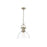 Golden Lighting Duncan Large 1-Light Chain Pendant, Brass/Clear - 3602-LAB-CLR