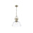 Golden Lighting Duncan Large 1-Light Chain Pendant, Brass/Clear