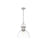 Golden Lighting Duncan Large 1-Light Chain Pendant, Pewter/Clear