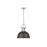 Golden Lighting Duncan Large 1-Light Chain Pendant, Pewter/Bronze - 3602-LPW-RBZ