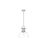 Golden Lighting Duncan Large 1-Light Rod Pendant, Pewter/Clear - 3604-LPW-CLR