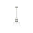 Golden Lighting Duncan Large 1-Light Rod Pendant, Pewter/Clear