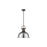 Golden Lighting Duncan Large 1-Light Rod Pendant, Bronze/Chrome - 3604-LRBZ-CH