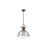 Golden Lighting Duncan Large 1-Light Rod Pendant, Bronze/Pewter