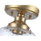Golden Daphne 1-Light Semi-Flush, Champagne Bronze/Clear Glass