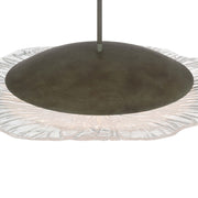 Golden Lighting Coral Bloom 31in 1-Light LED Pendant | Rustic Black Slate and Clear Glass | Kitchen Island & Dining Room | Model 5865-L BT-CLR