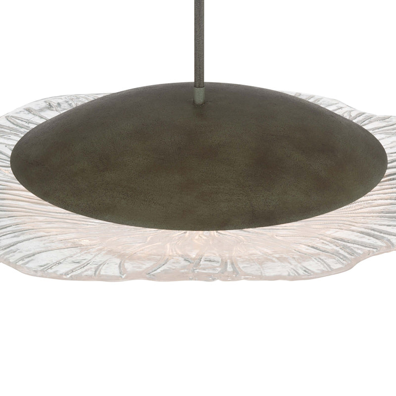Golden Lighting Coral Bloom 31in 1-Light LED Pendant | Rustic Black Slate and Clear Glass | Kitchen Island & Dining Room | Model 5865-L BT-CLR