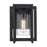 Golden Lighting Tribeca 1 Light Outdoor Sconce, Black(UV)/Clear