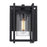 Golden Lighting Tribeca 1 Light Outdoor Sconce, Black(UV)/Clear