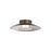 Golden Luma 12" LED Flush Mount, Coffee Silver/Coffee Silver