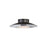 Golden Luma 12" LED Flush Mount, Graphite/French Gold