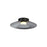 Golden Lighting Luma 12" LED Flush Mount, Graphite/Graphite